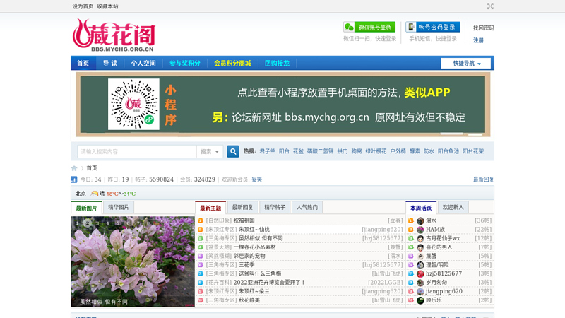 藏花阁花卉论坛爱花人的秘密花园 缩略图