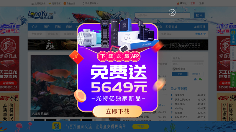龙鱼之巅-国内专业龙鱼论坛，最全面的龙鱼网站交流平台。 缩略图