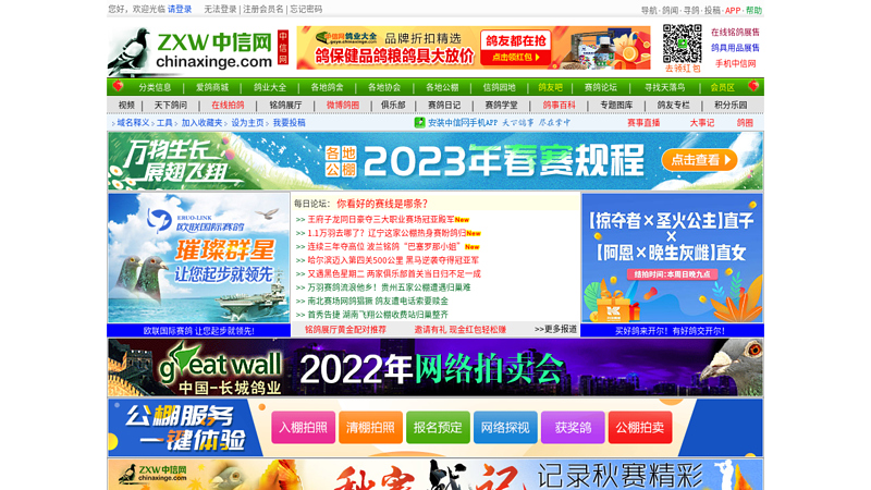 中国信鸽信息网 缩略图