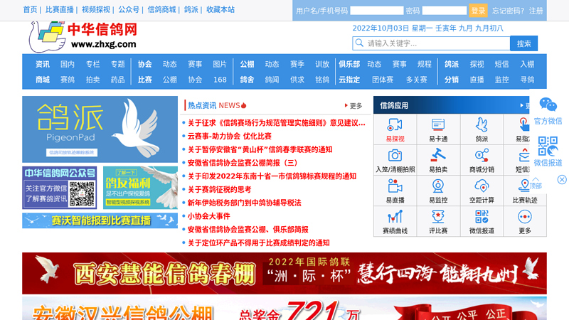 中华信鸽网 缩略图